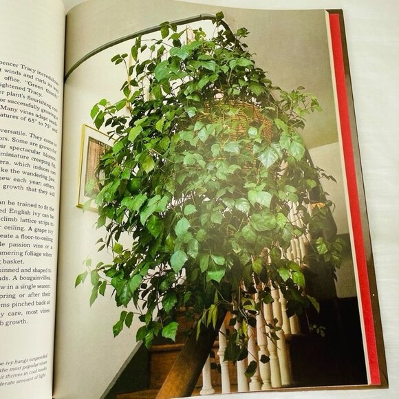 How to Grow Vines Vintage Time Life Gardening Books Encyclopedia u 1981 Hardcove - Picture 6 of 8
